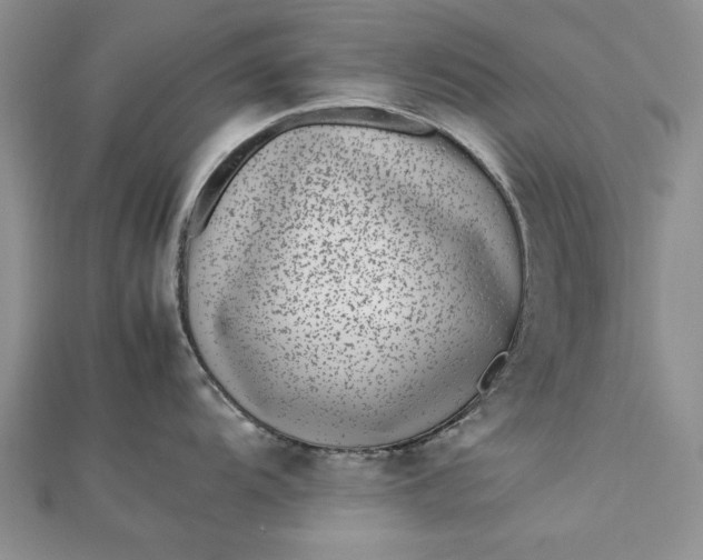 X0000112791104200909041407