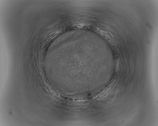 X0000112791105200909041406