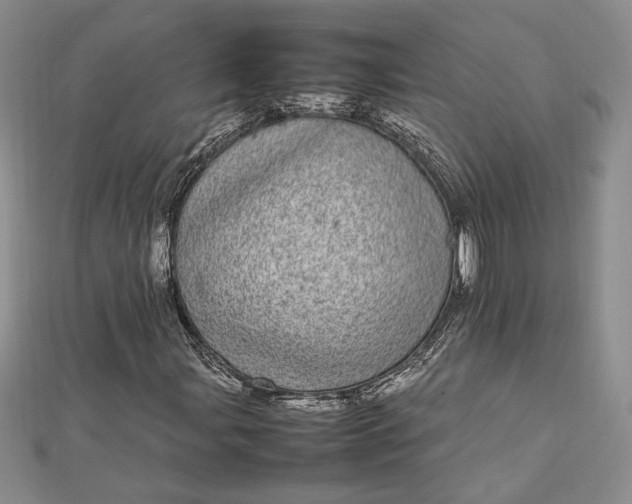 X0000112791107200909041406