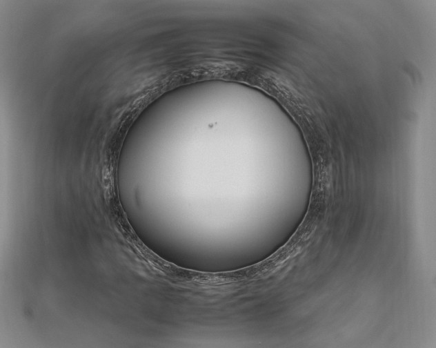 X0000112791109200909041406