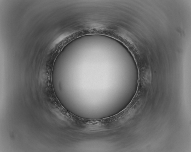 X0000112791112200909041406