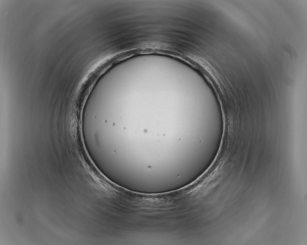 X0000112791115200909041406