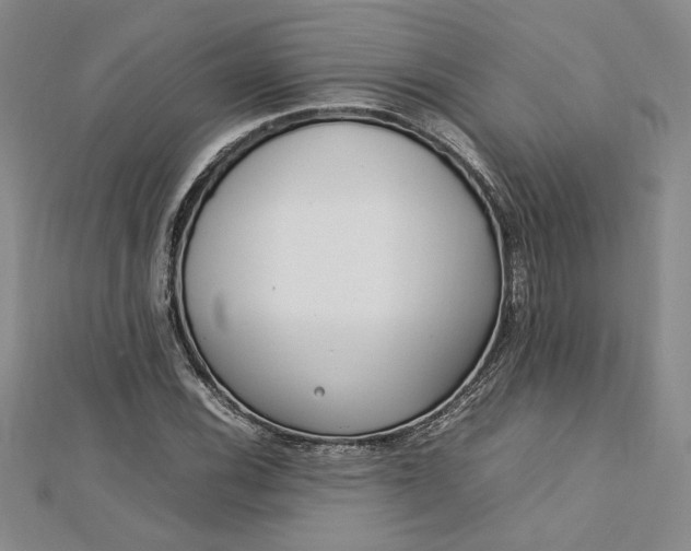 X0000112791116200909041406