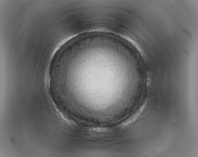 X0000112791117200909041406