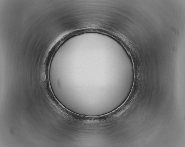 X0000112791118200909041406