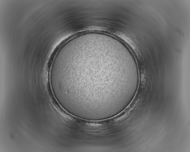 X0000112791119200909041406