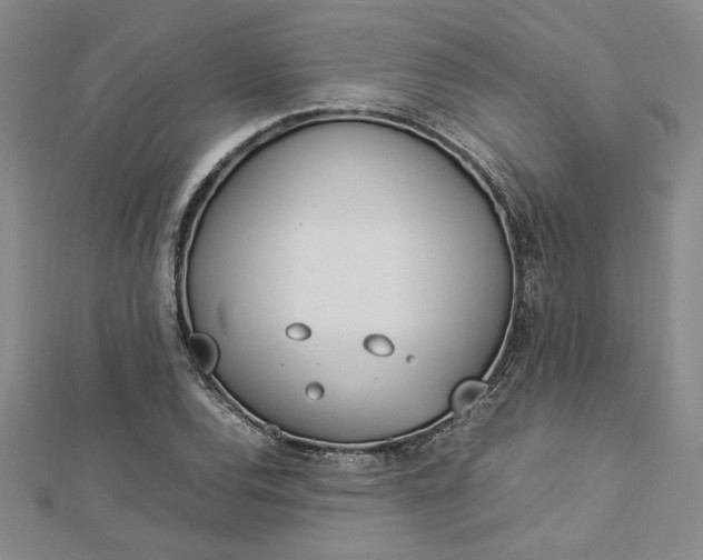 X0000112791120200909041406