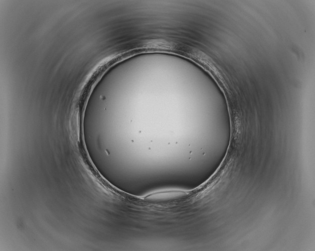 X0000112791123200909041407