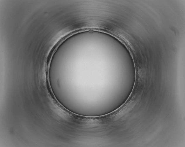 X0000112791124200909041407