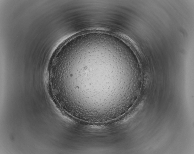 X0000112791125200909041407