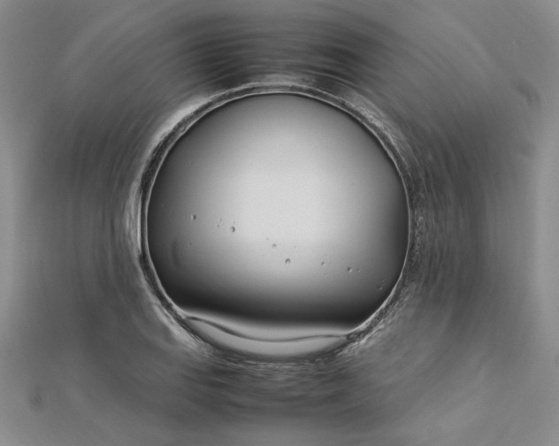 X0000112791127200909041407