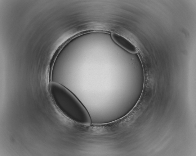 X0000112791128200909041407