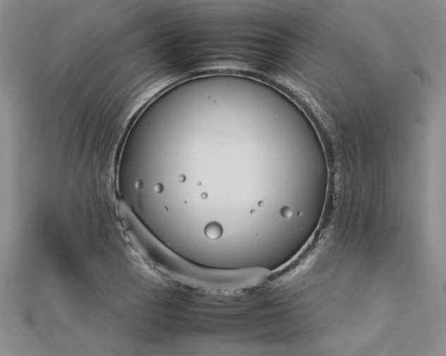 X0000112791129200909041407