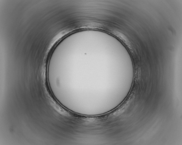 X0000112791130200909041407