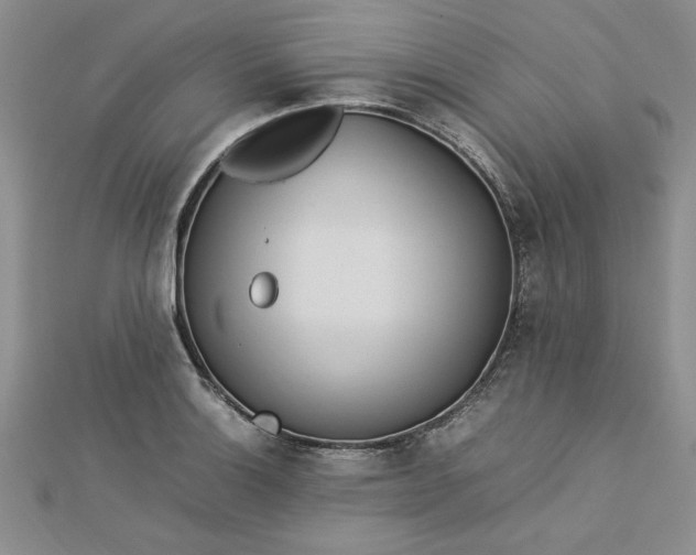 X0000112791132200909041407