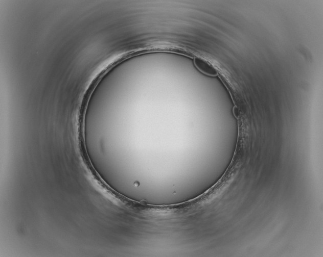 X0000112791134200909041407