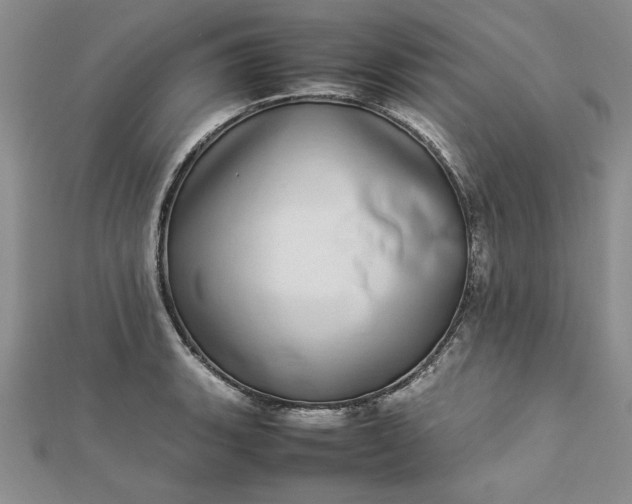 X0000112791135200909041407