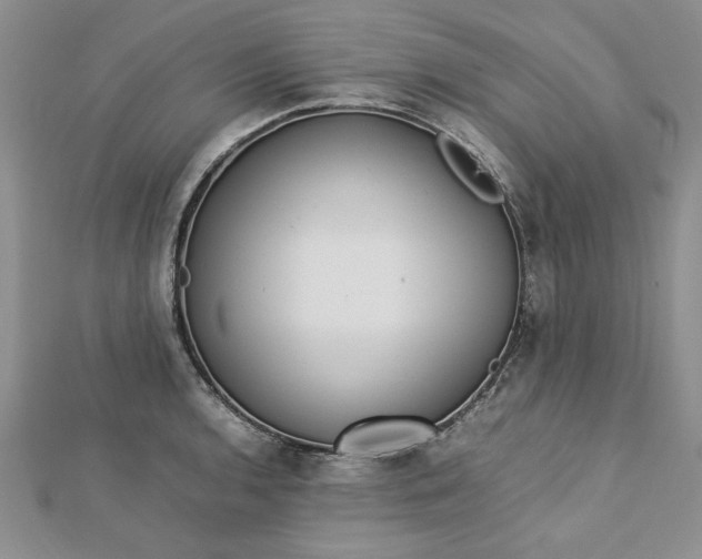 X0000112791136200909041407