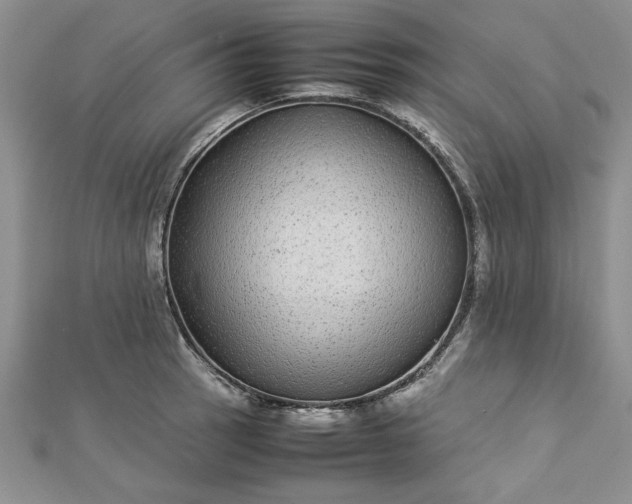 X0000112791137200909041407