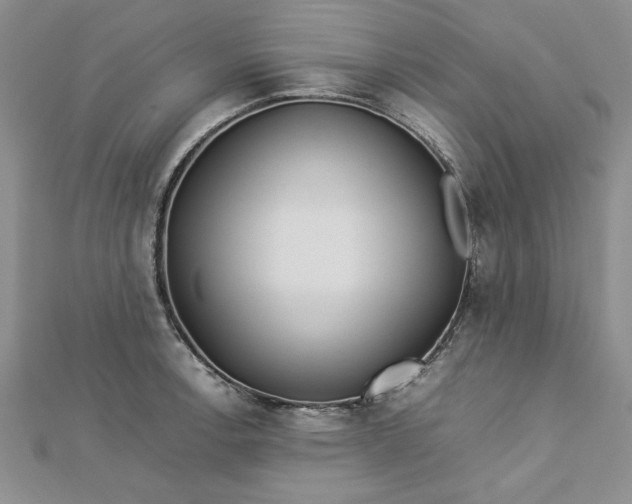 X0000112791138200909041407