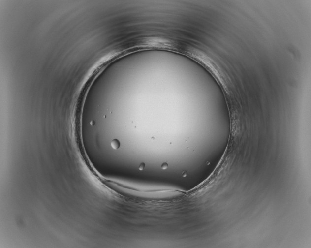 X0000112791139200909041407