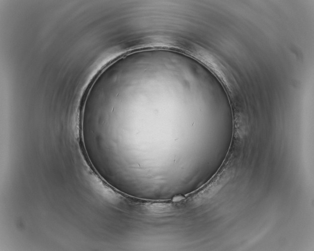 X0000112791140200909041407