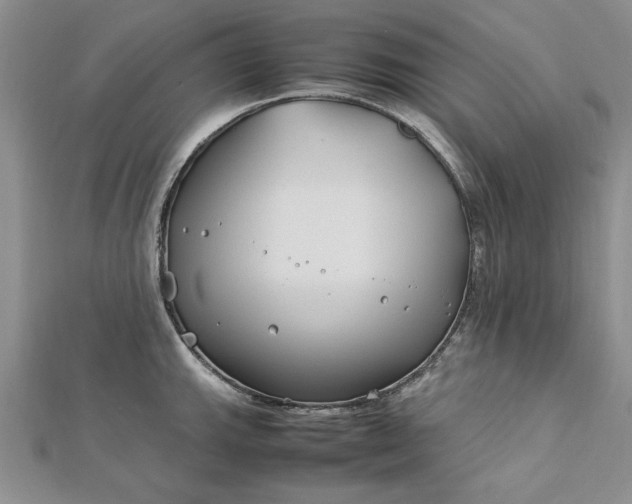 X0000112791143200909041407