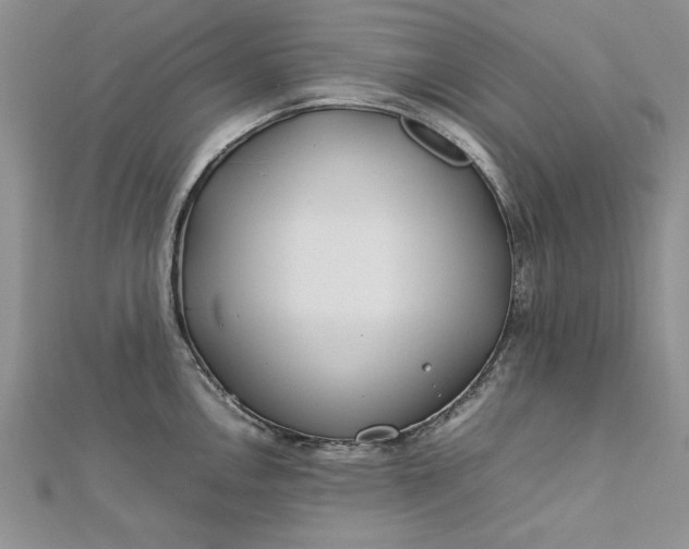 X0000112791146200909041407