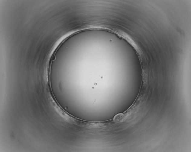 X0000112791148200909041407