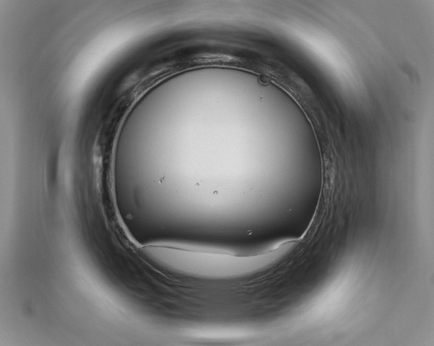 X0000112791151200909041407