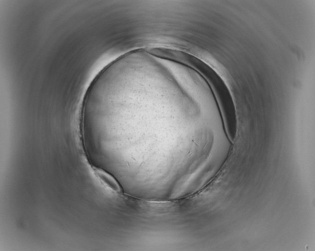 X0000112791152200909041407