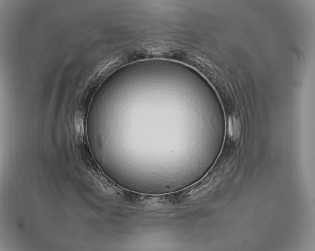 X0000112791155200909041406