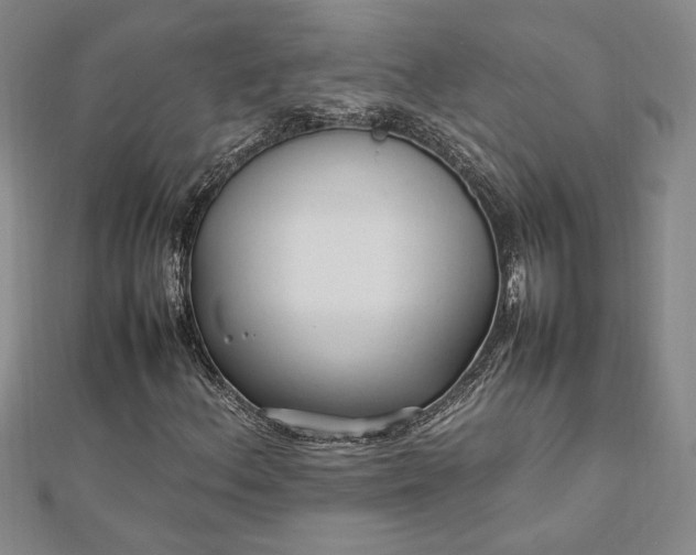 X0000112791156200909041406