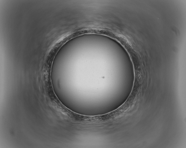 X0000112791159200909041406