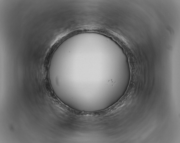 X0000112791160200909041406