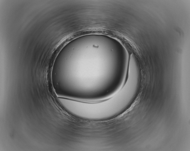 X0000112791162200909041406