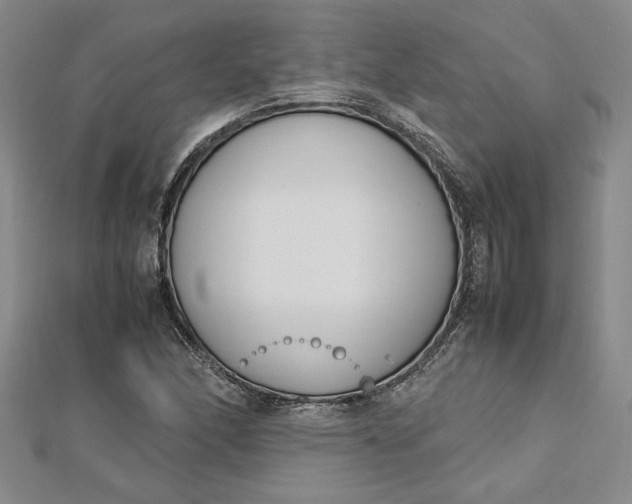 X0000112791166200909041406