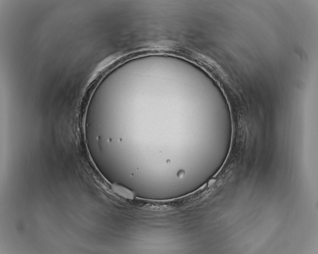 X0000112791168200909041406