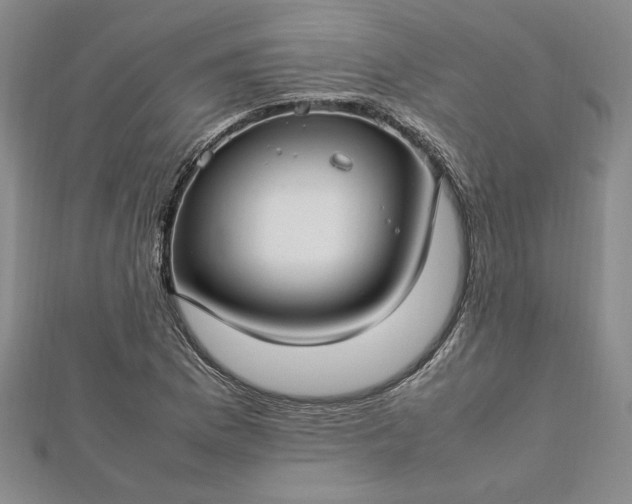 X0000112791169200909041406