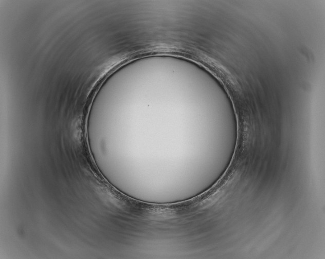 X0000112791170200909041406