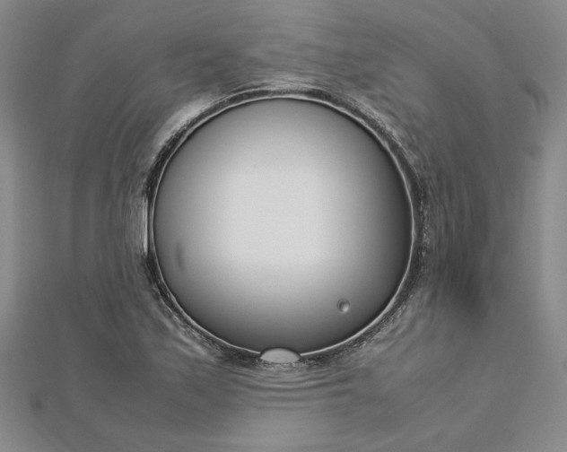 X0000112791171200909041406