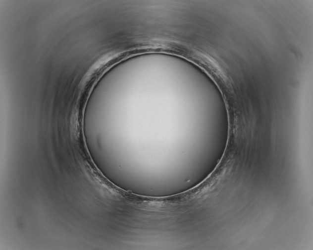 X0000112791172200909041406