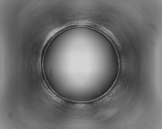 X0000112791176200909041406