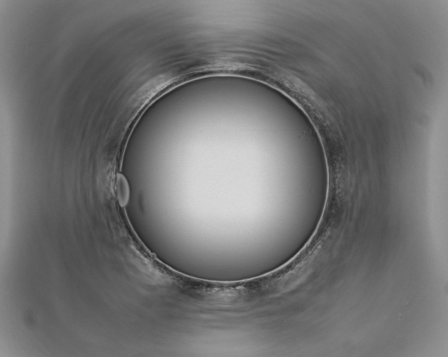 X0000112791177200909041406