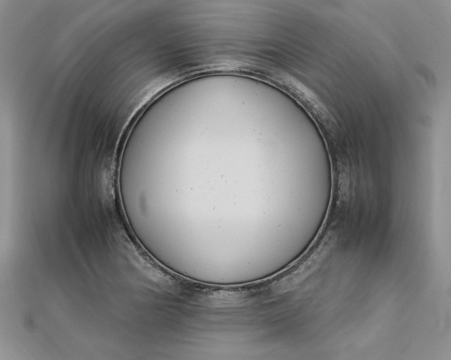 X0000112791178200909041406