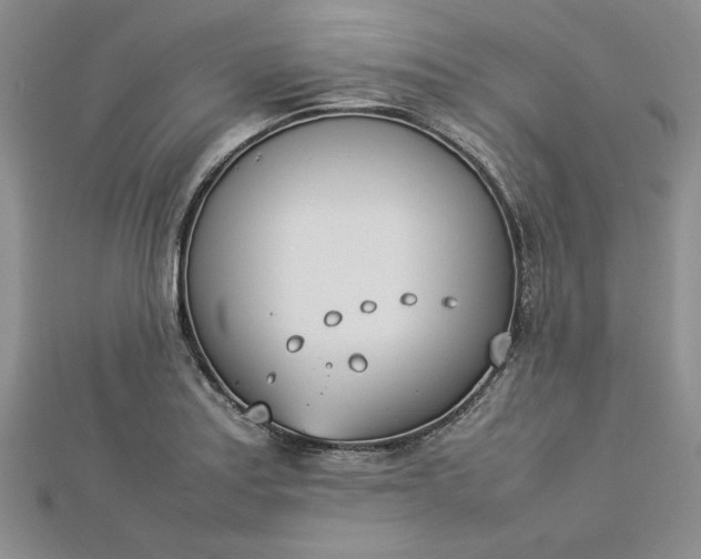 X0000112791179200909041406