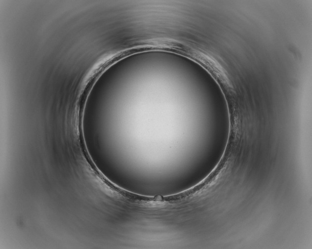 X0000112791180200909041406