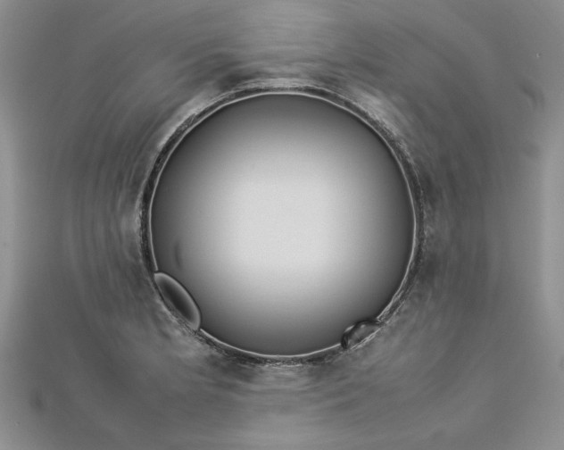 X0000112791181200909041406