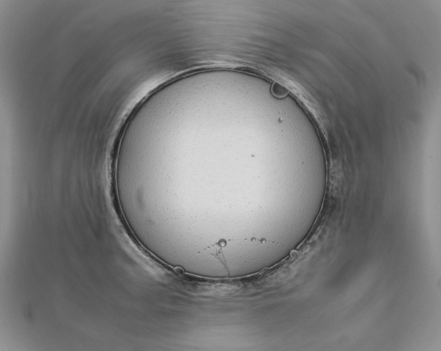 X0000112791187200909041406