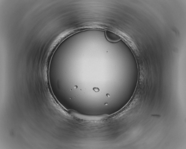 X0000112791188200909041406